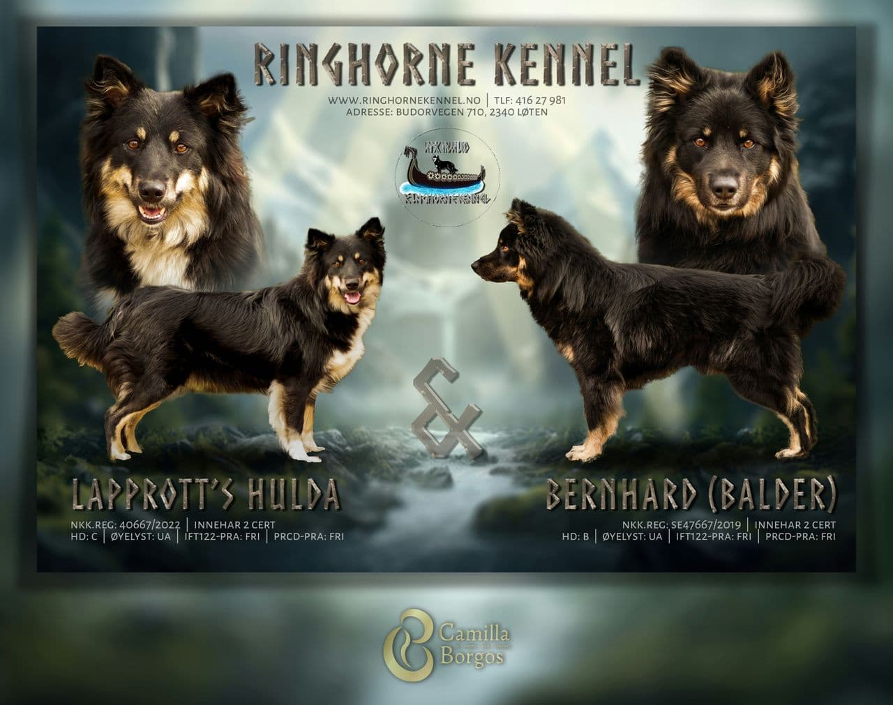 LAPSK VALLHUND VALPER