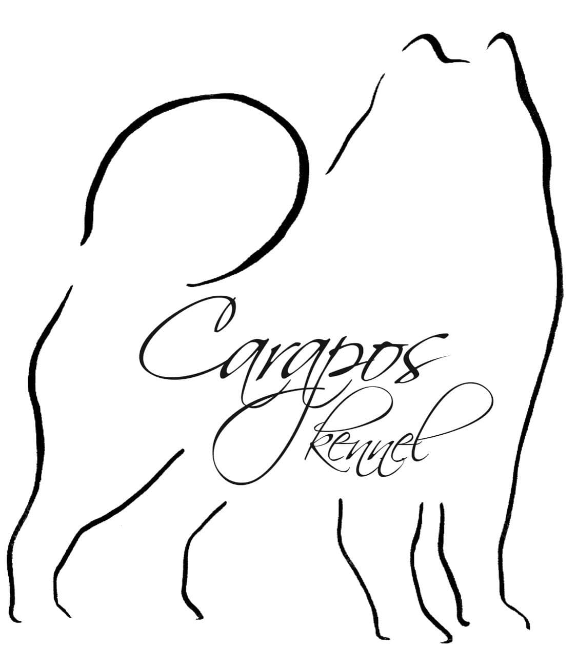 Carapos kennel venter kull!