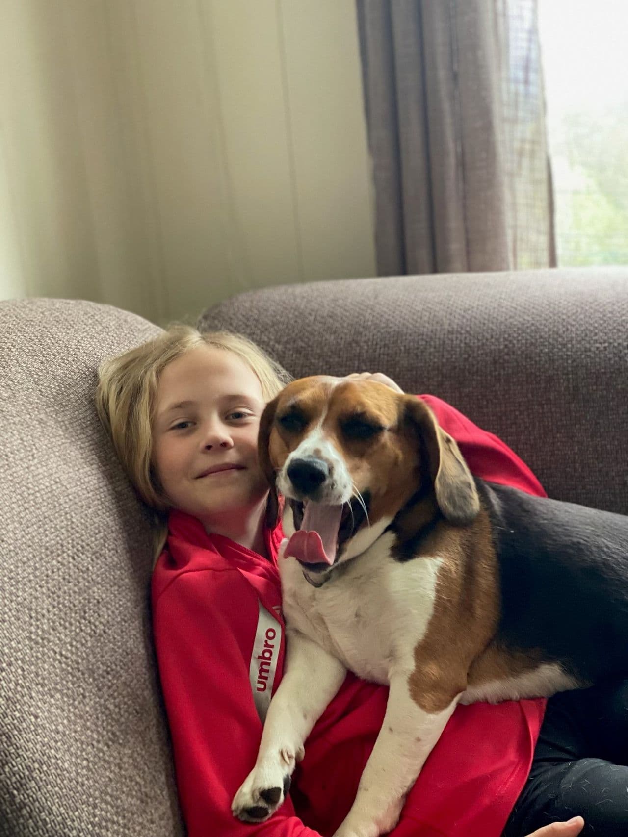 Beagle valper til salgs. Leveringsklare 26/8. 25.