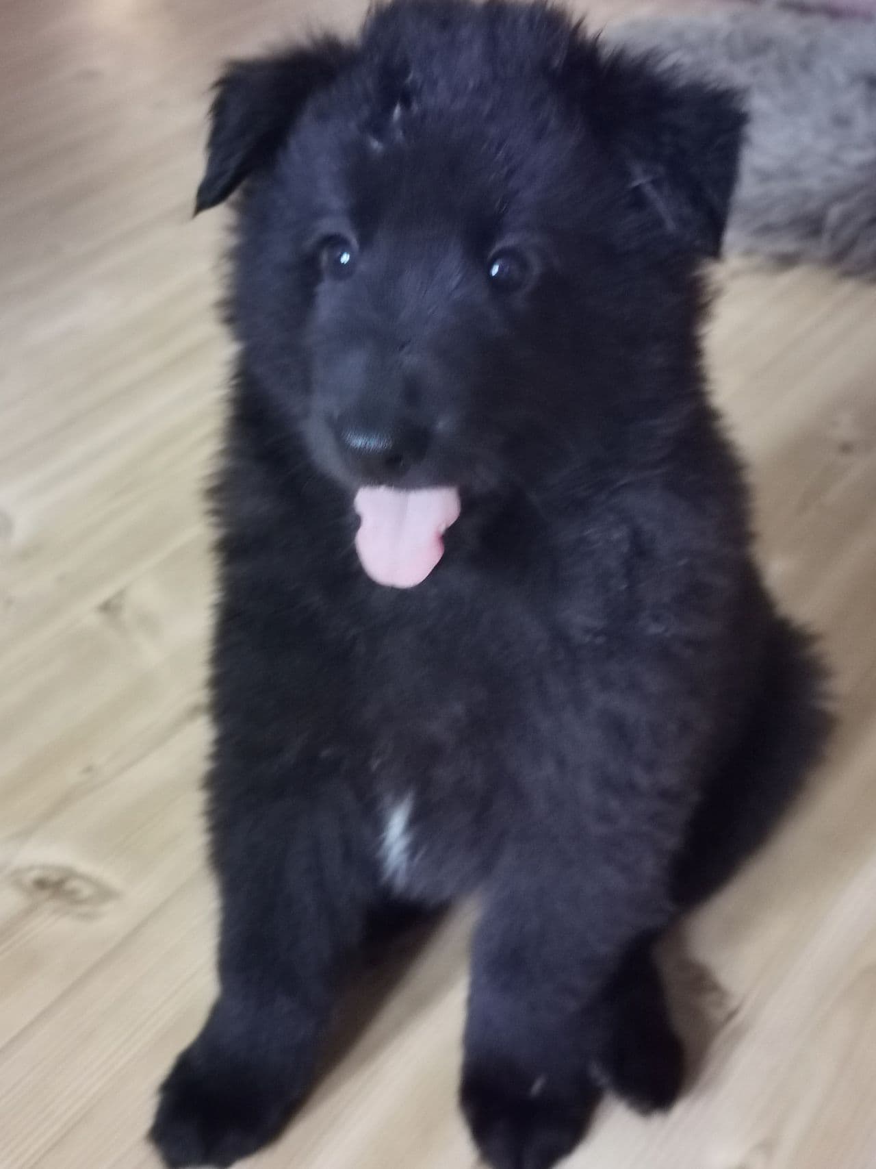 1 gutt ledig 🥰