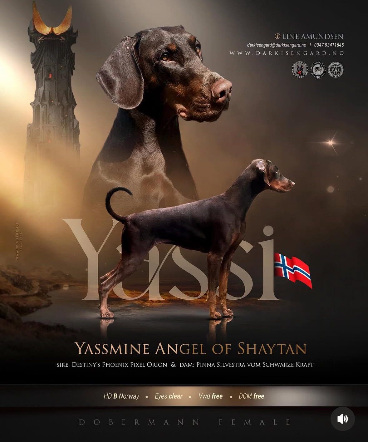 Dobermann valper- 2 tisper ledig