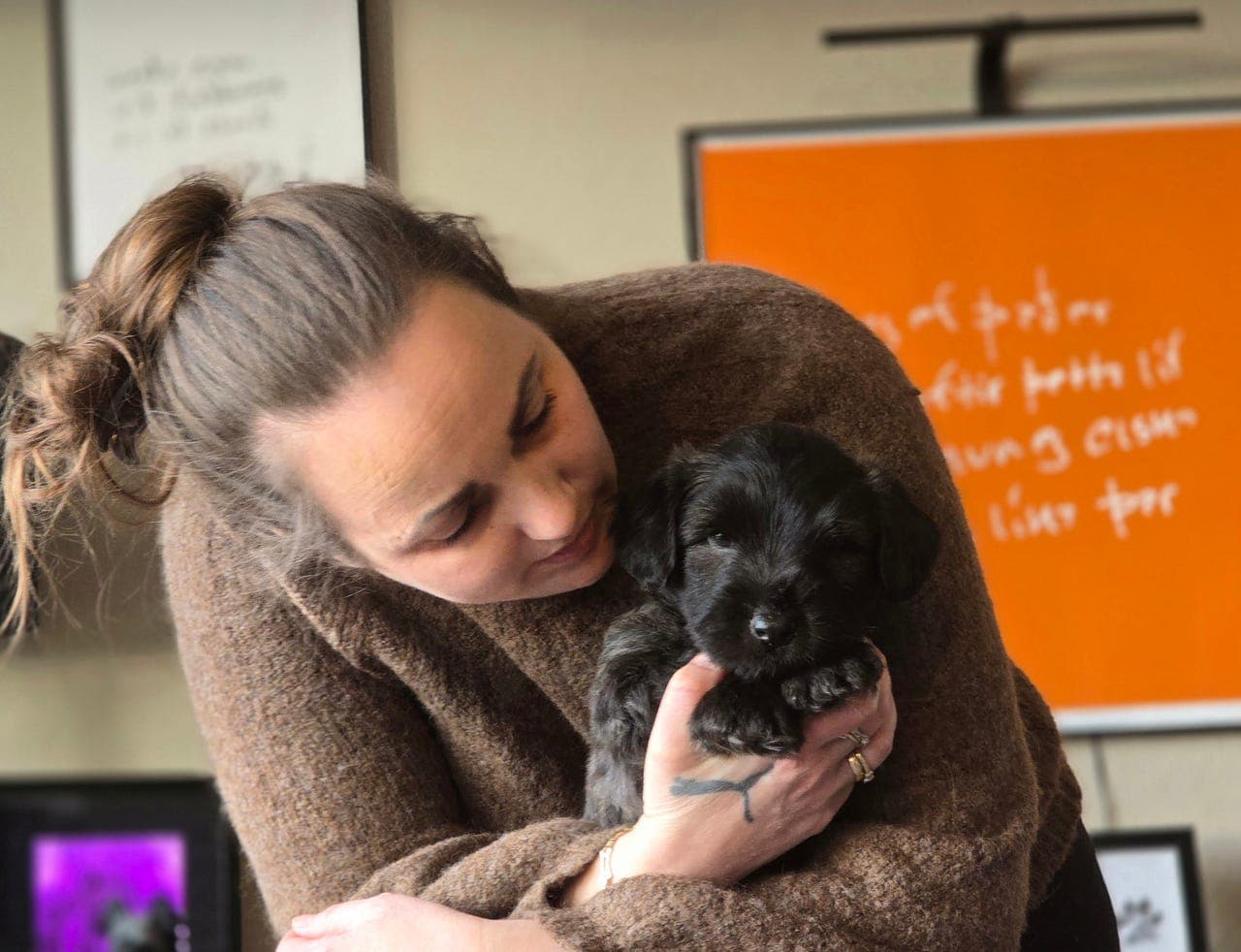 Ledig valp til det rette hjemmet