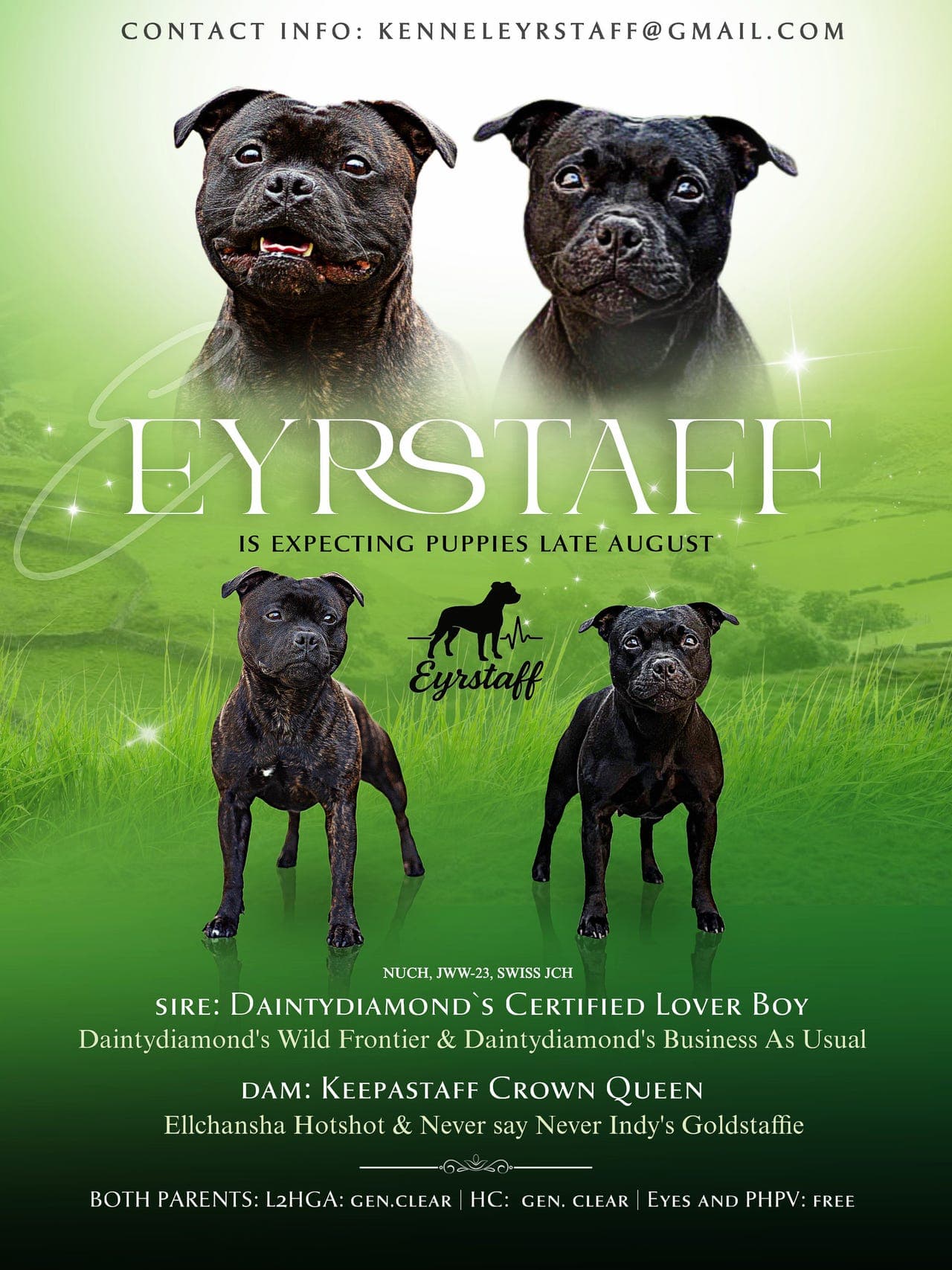 Staffordshire Bull Terrier