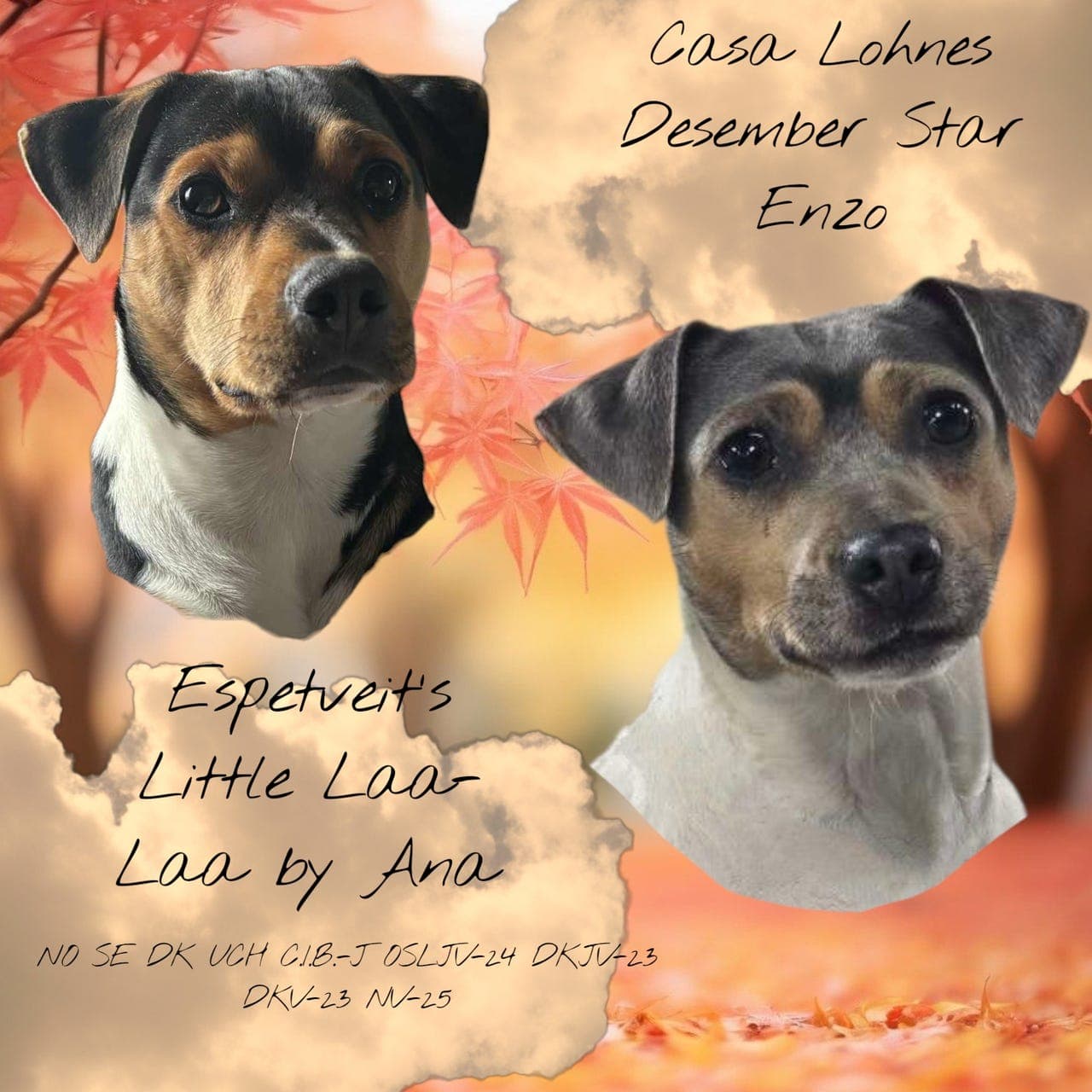 Valper ventes i slutten av oktober