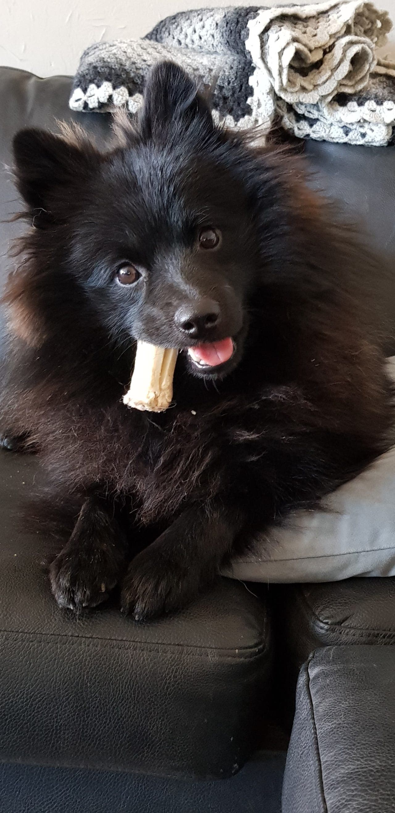 Mittelspitz gutt 💙