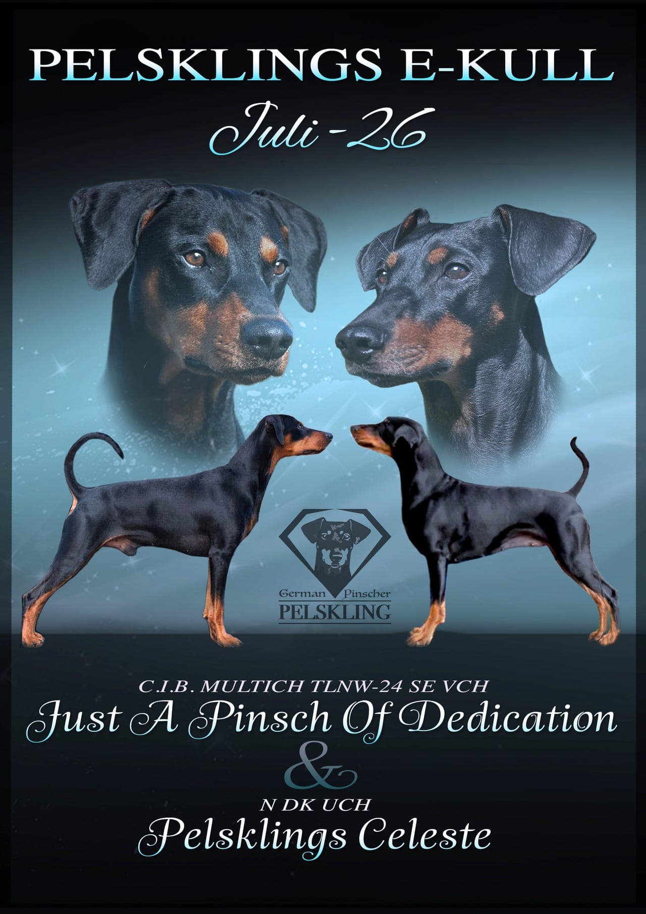 Pinscher valper