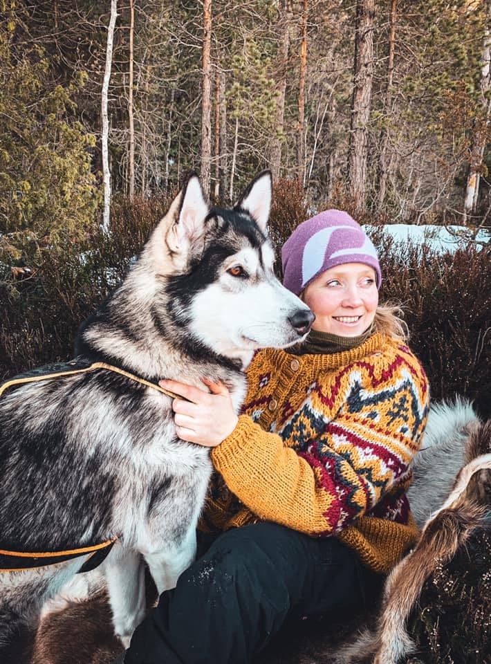 Malamute tispe på 6,5år ser etter nytt hjem