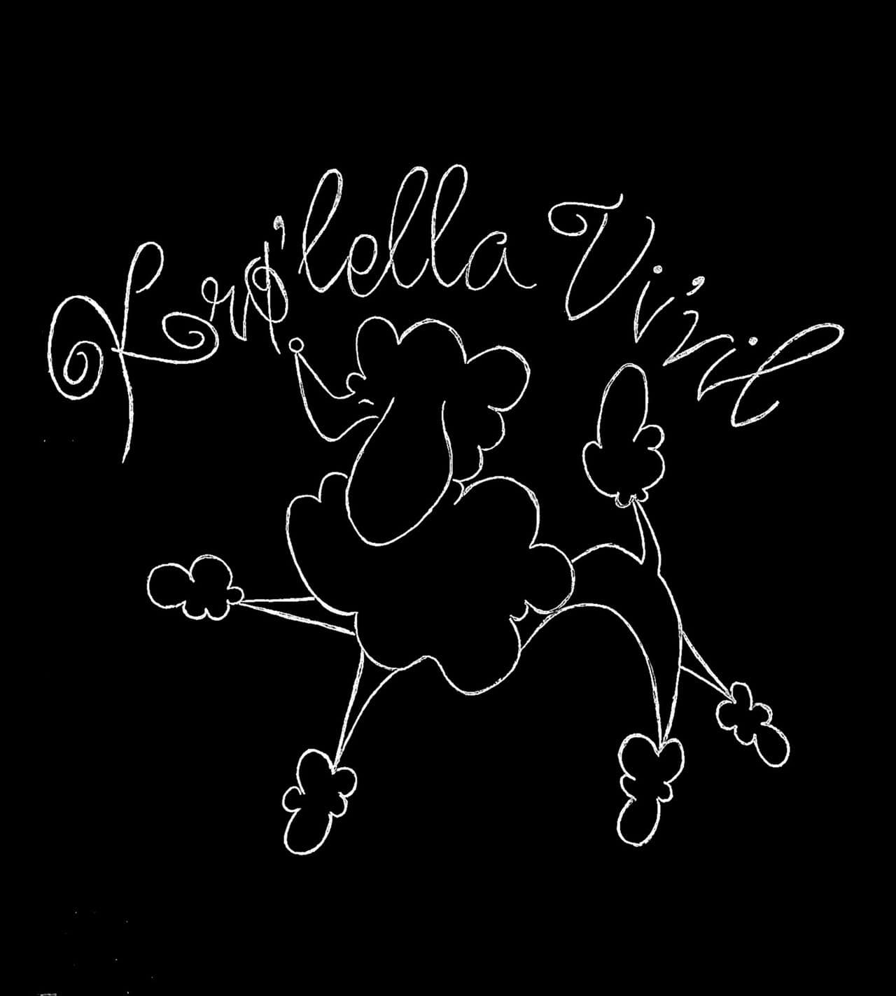 Sorte Storpuddel valper til salgs!