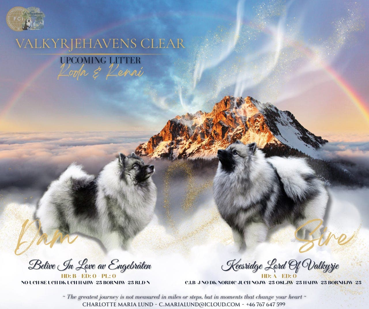 Keeshondvalper - 2025/2026