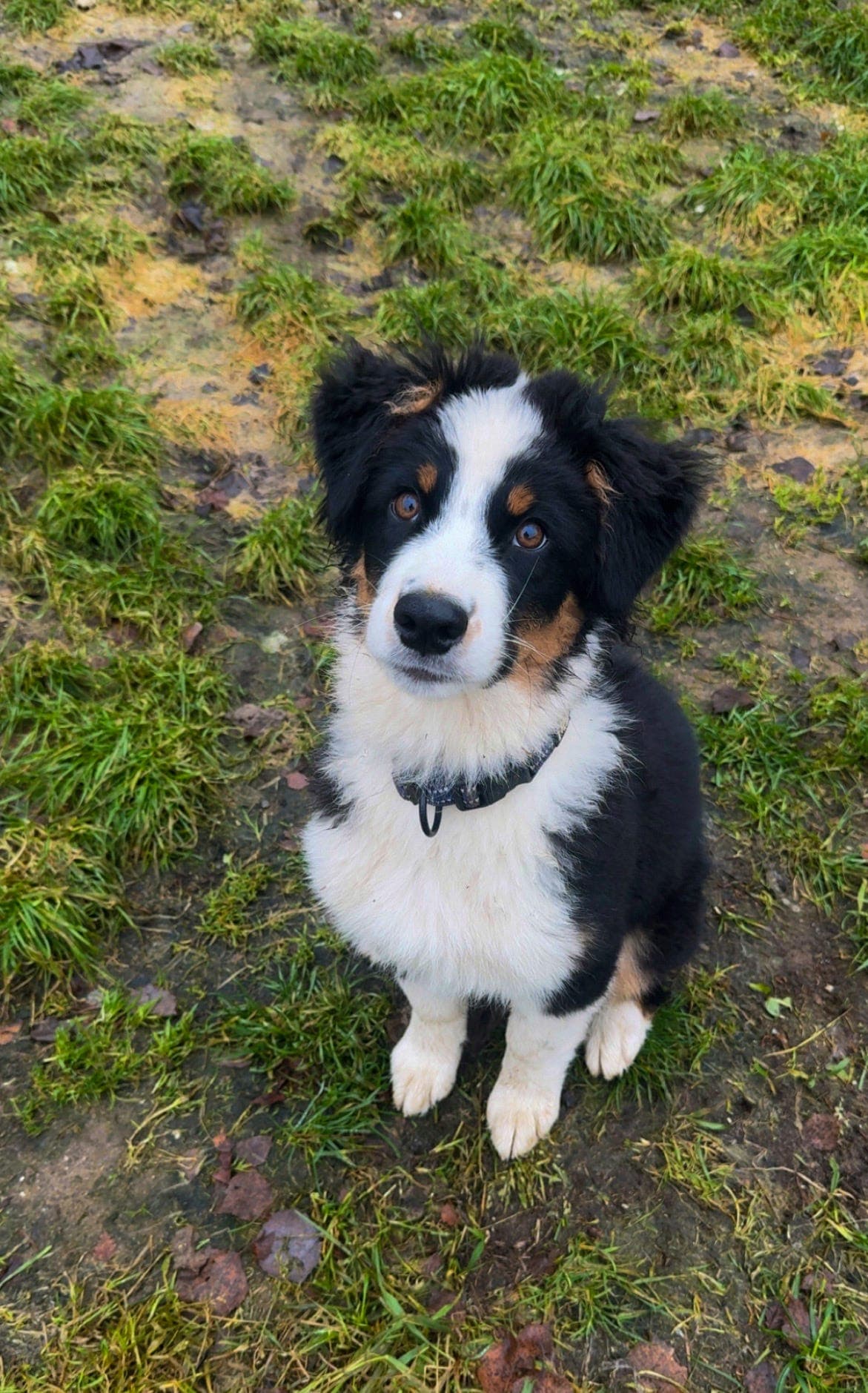 Neo søker nytt hjem