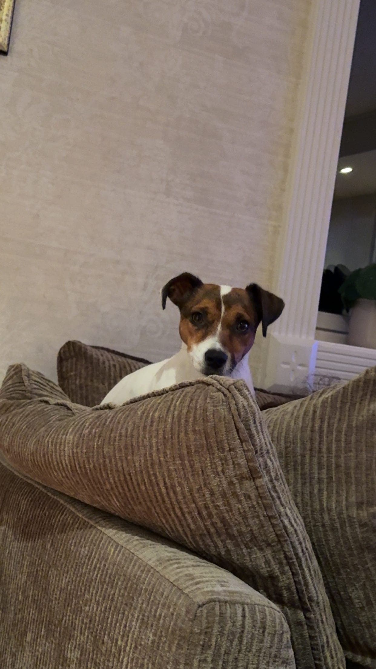 Jrt - tispe omplasseres