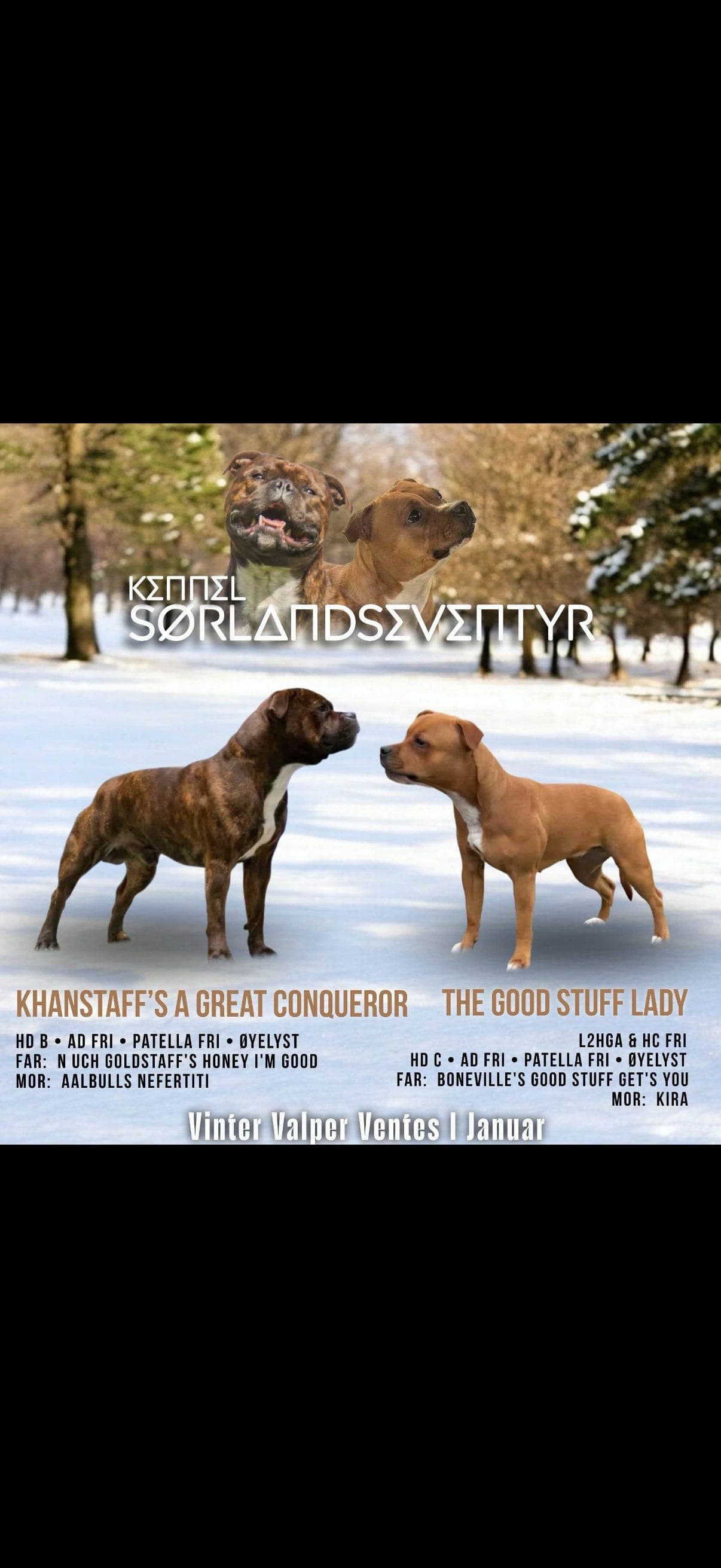 Valper ventes i slutten av Januar