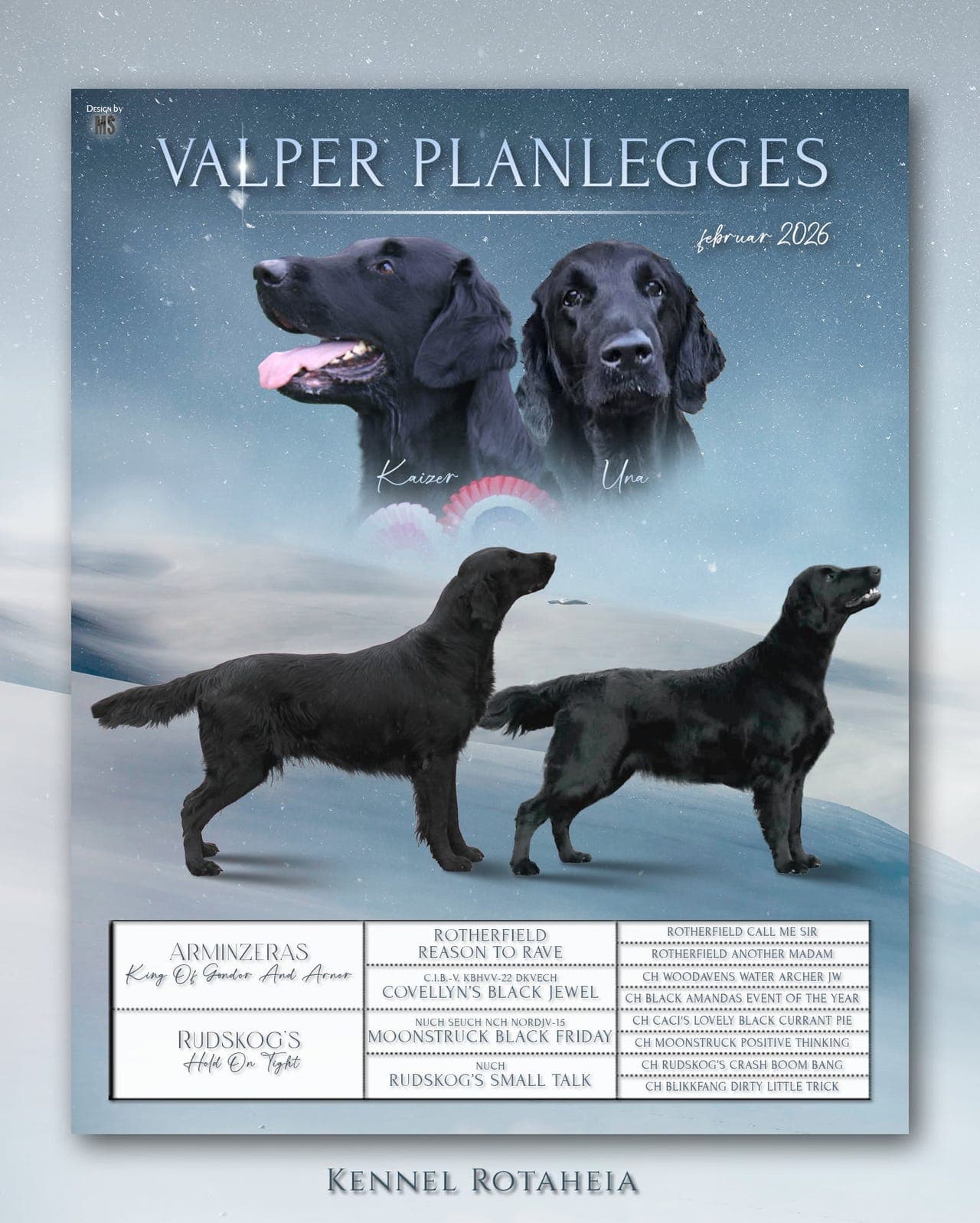 Flatcoated ( flat coated) retriever valper
