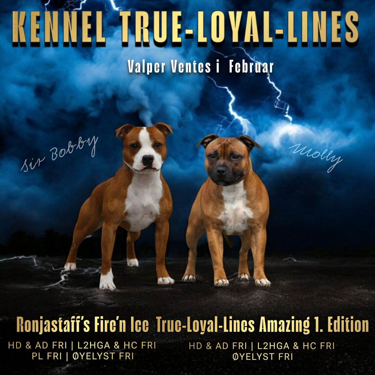 Valper ventes i begynnelsen av Februar