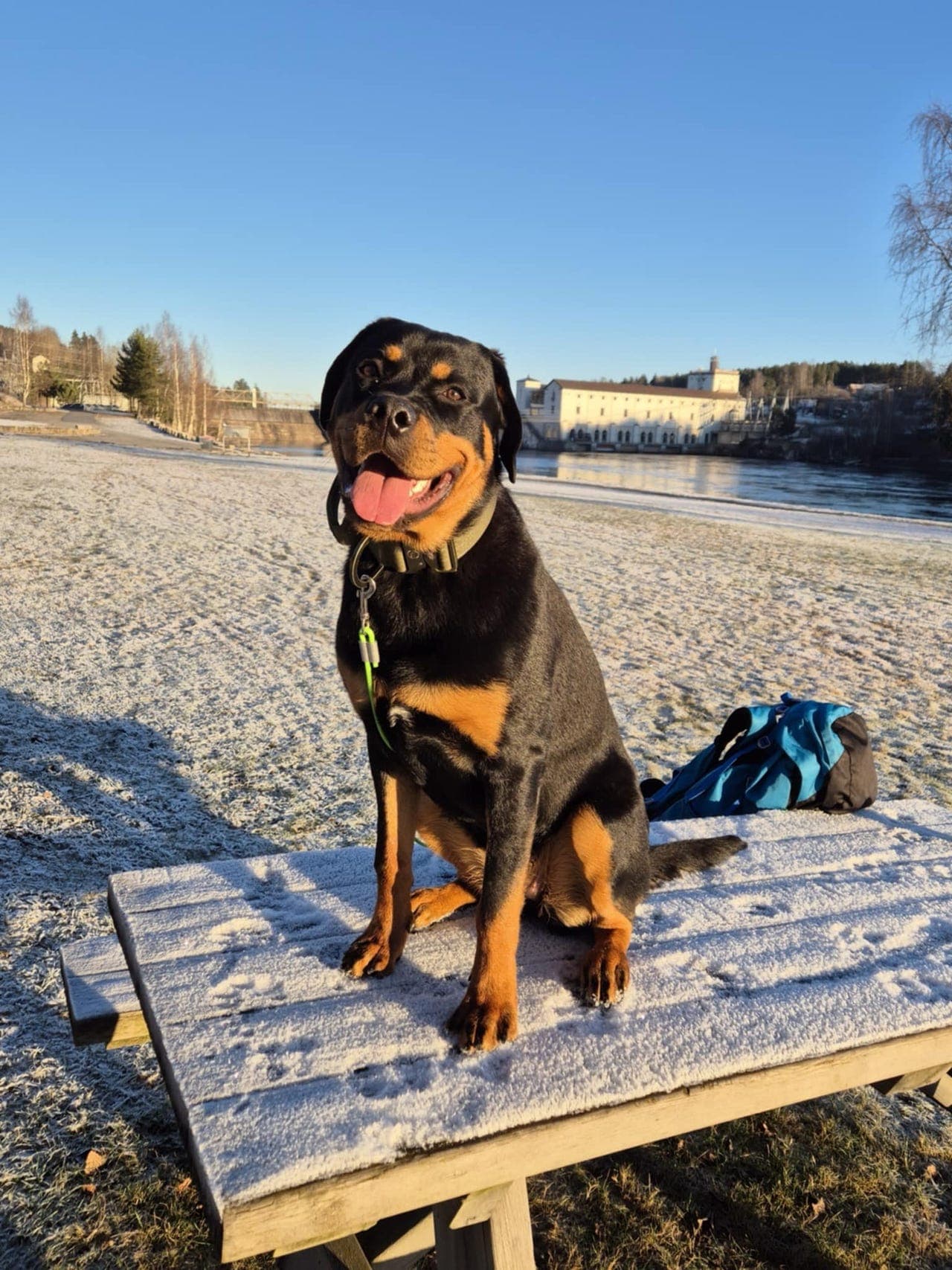 Søker avlastningshjem til Delta