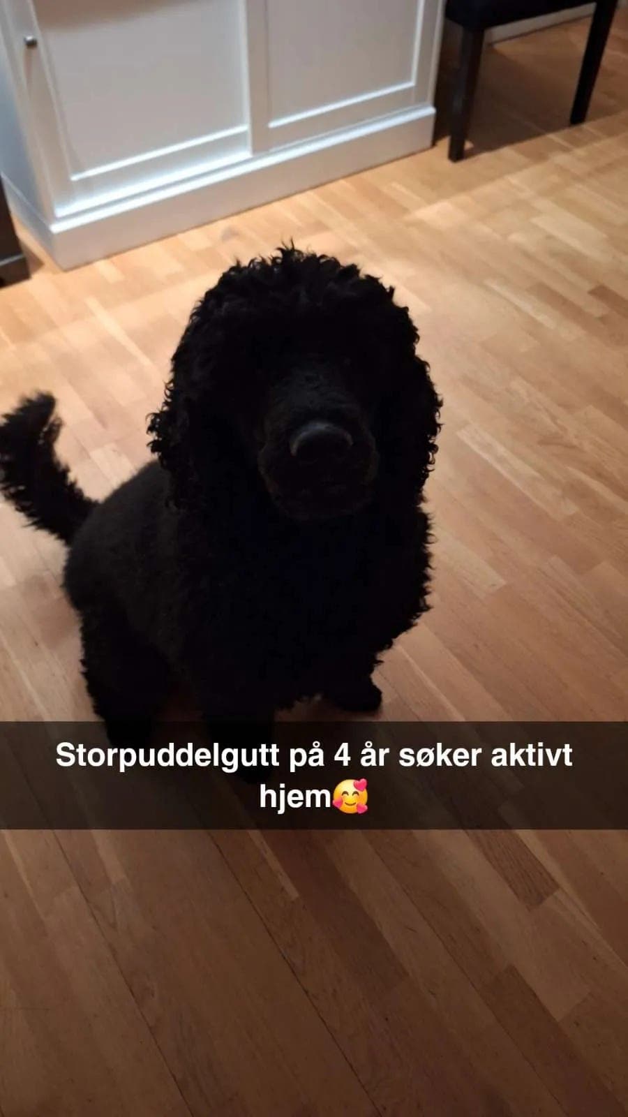Stor puddel