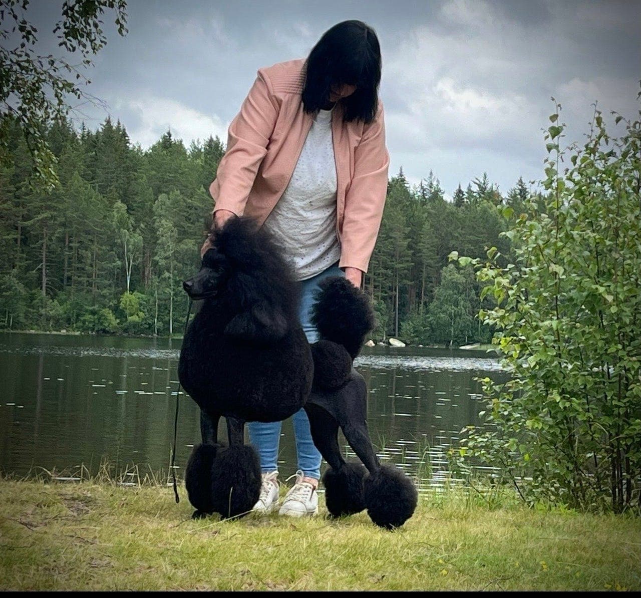 Storpuddel/Kongepuddel valper