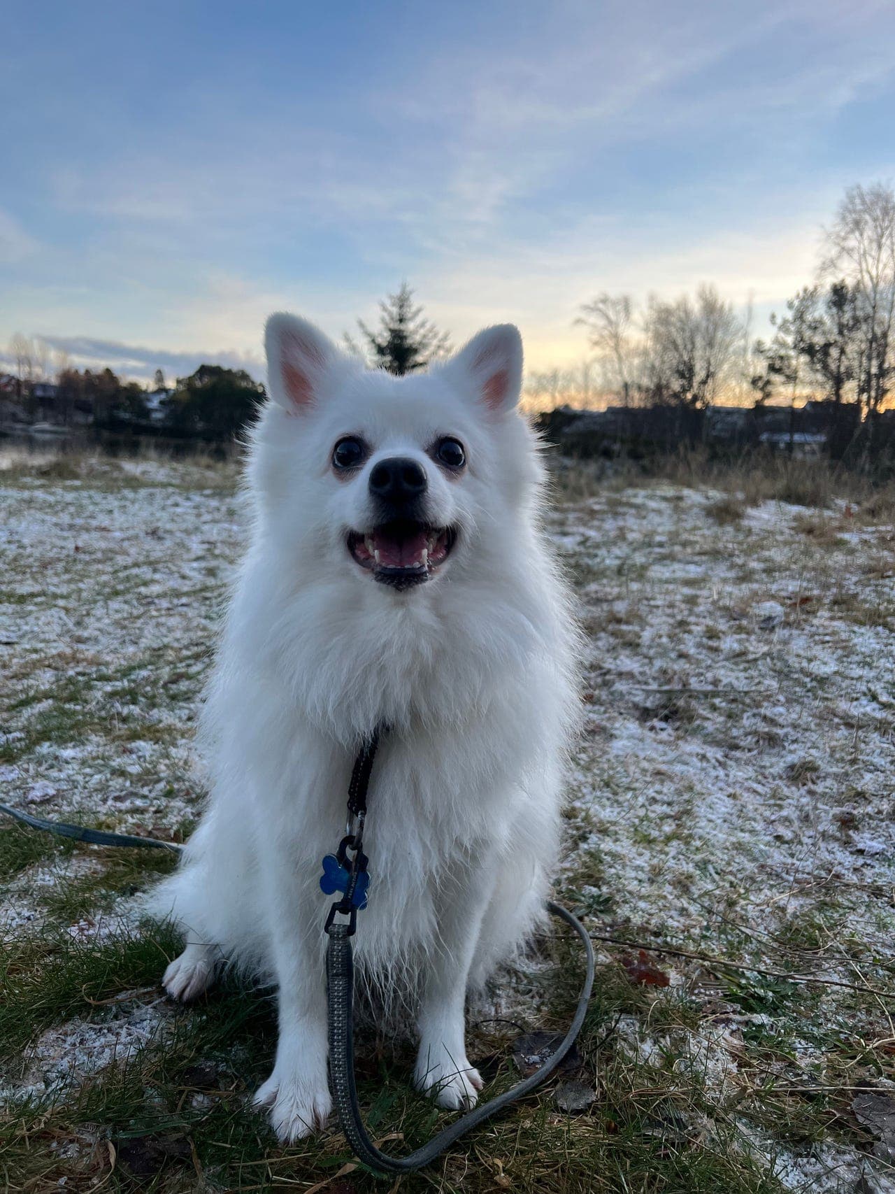 Vurderes omplasseres