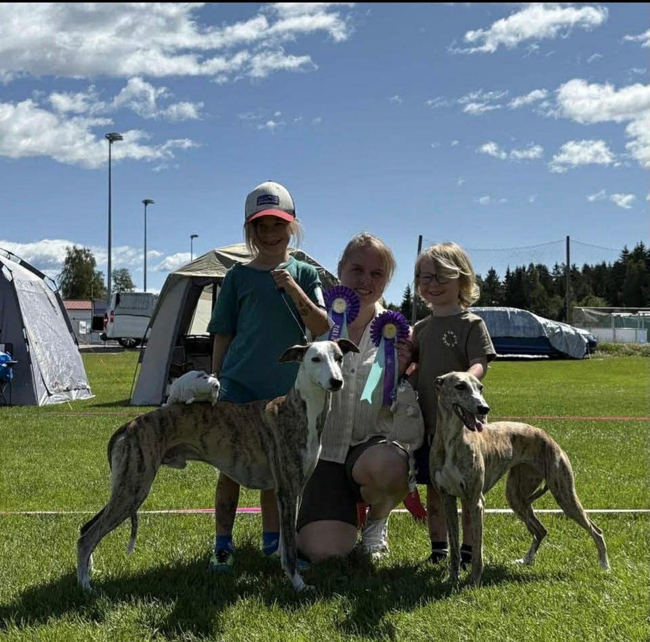 Whippet valper ❤️