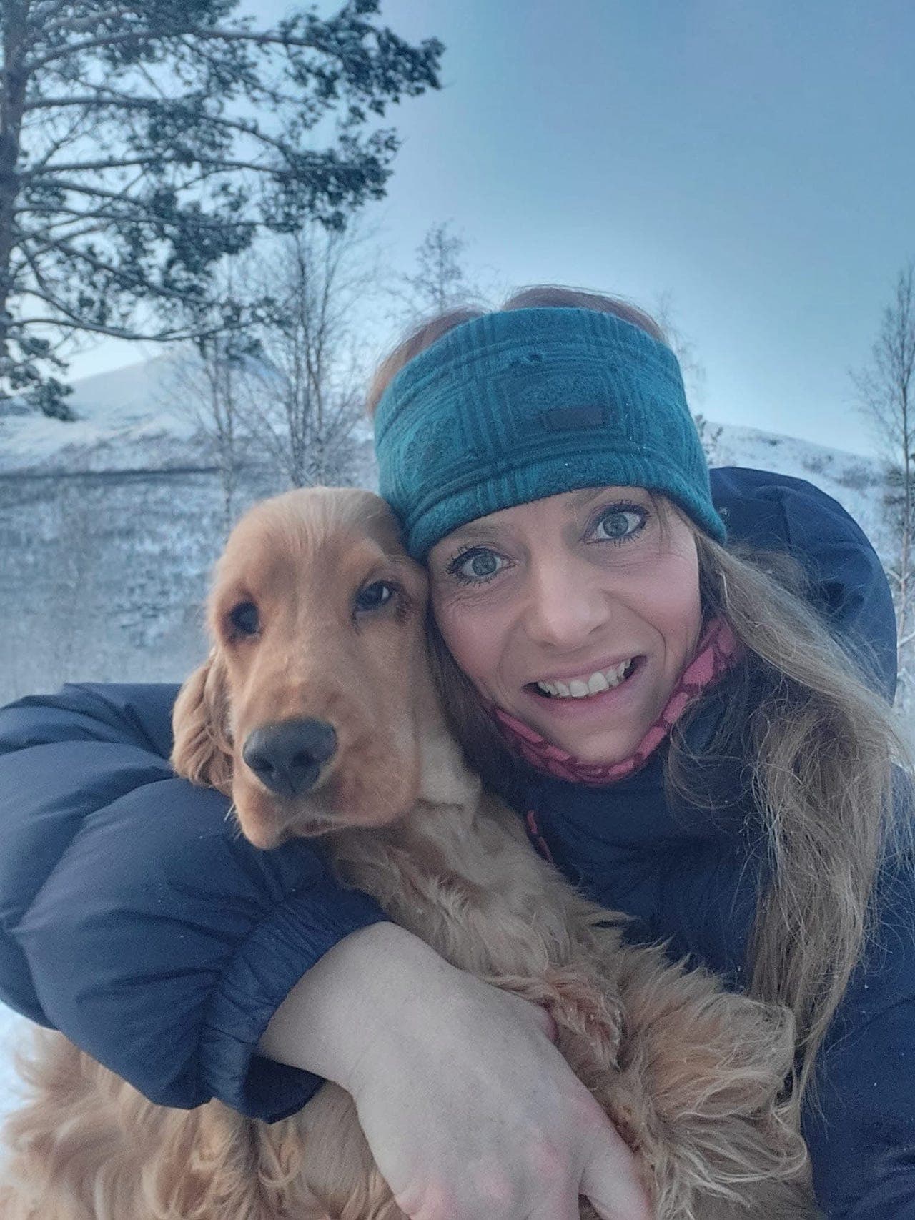 Engelsk Cocker Spaniel