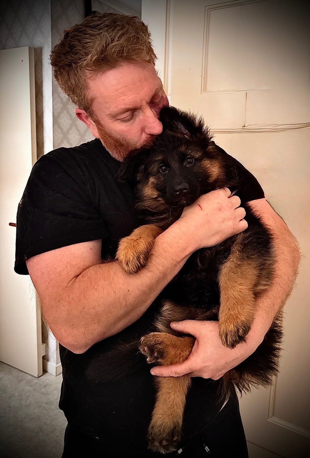 Schæfer långhårig tik