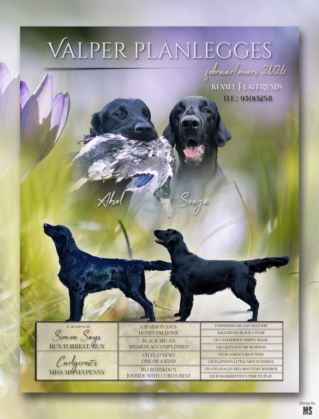 Valper leveringsklare i juni -26