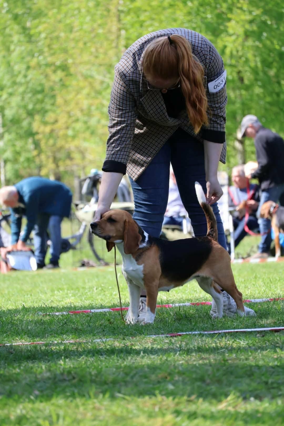 Beaglevalper ventes i uke 15