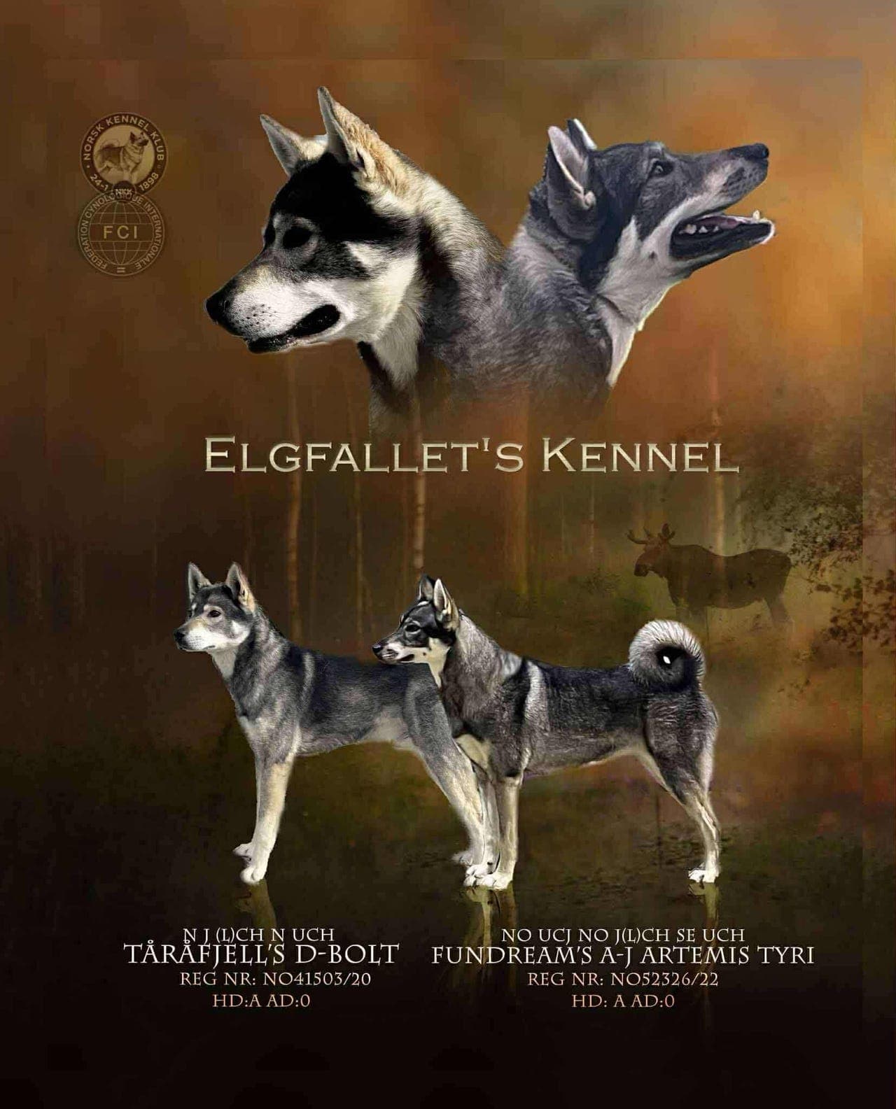 Jämthundvalper ventes