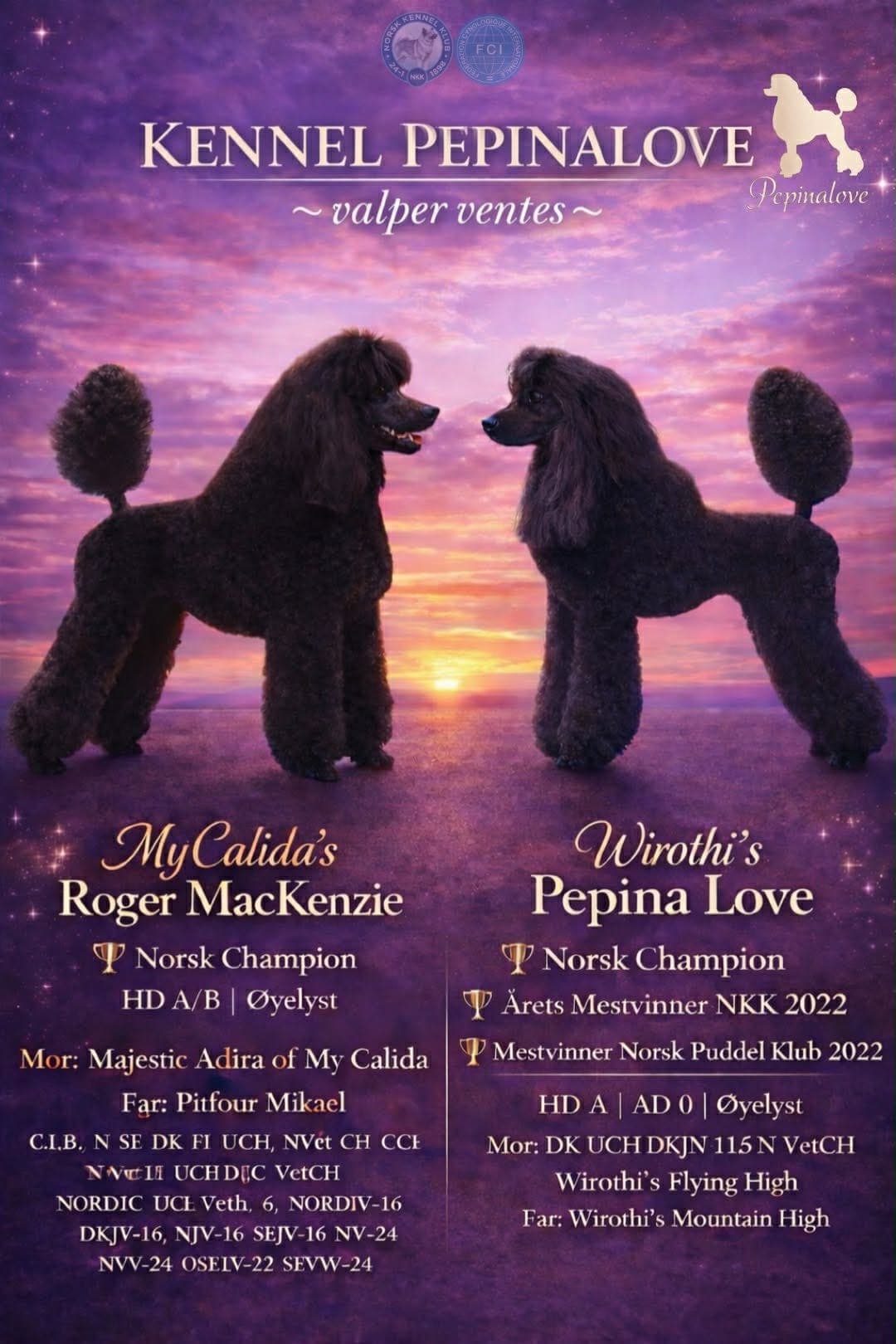 Stor puddel valper ventes mai