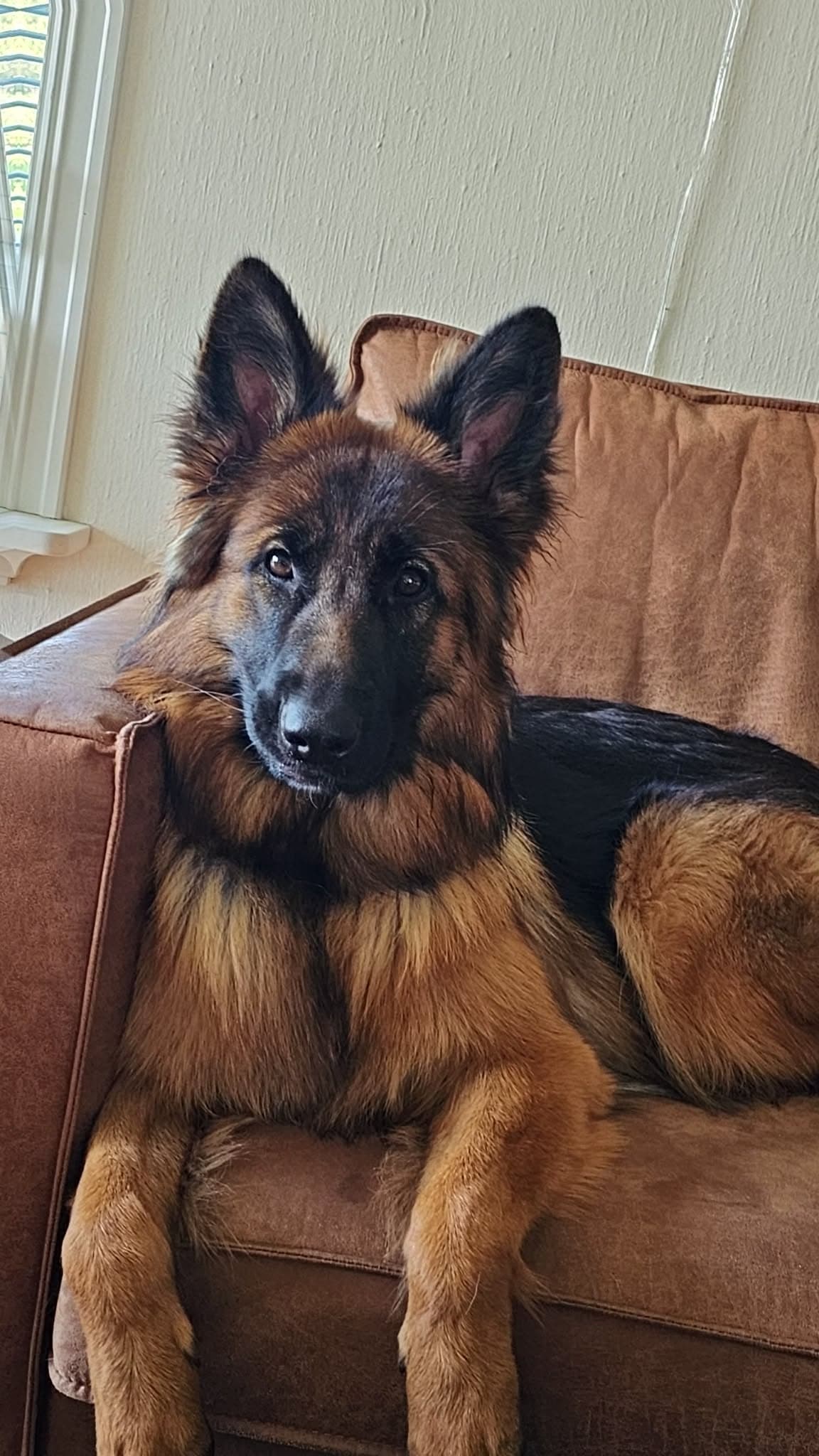 Karmakollens  Quanti