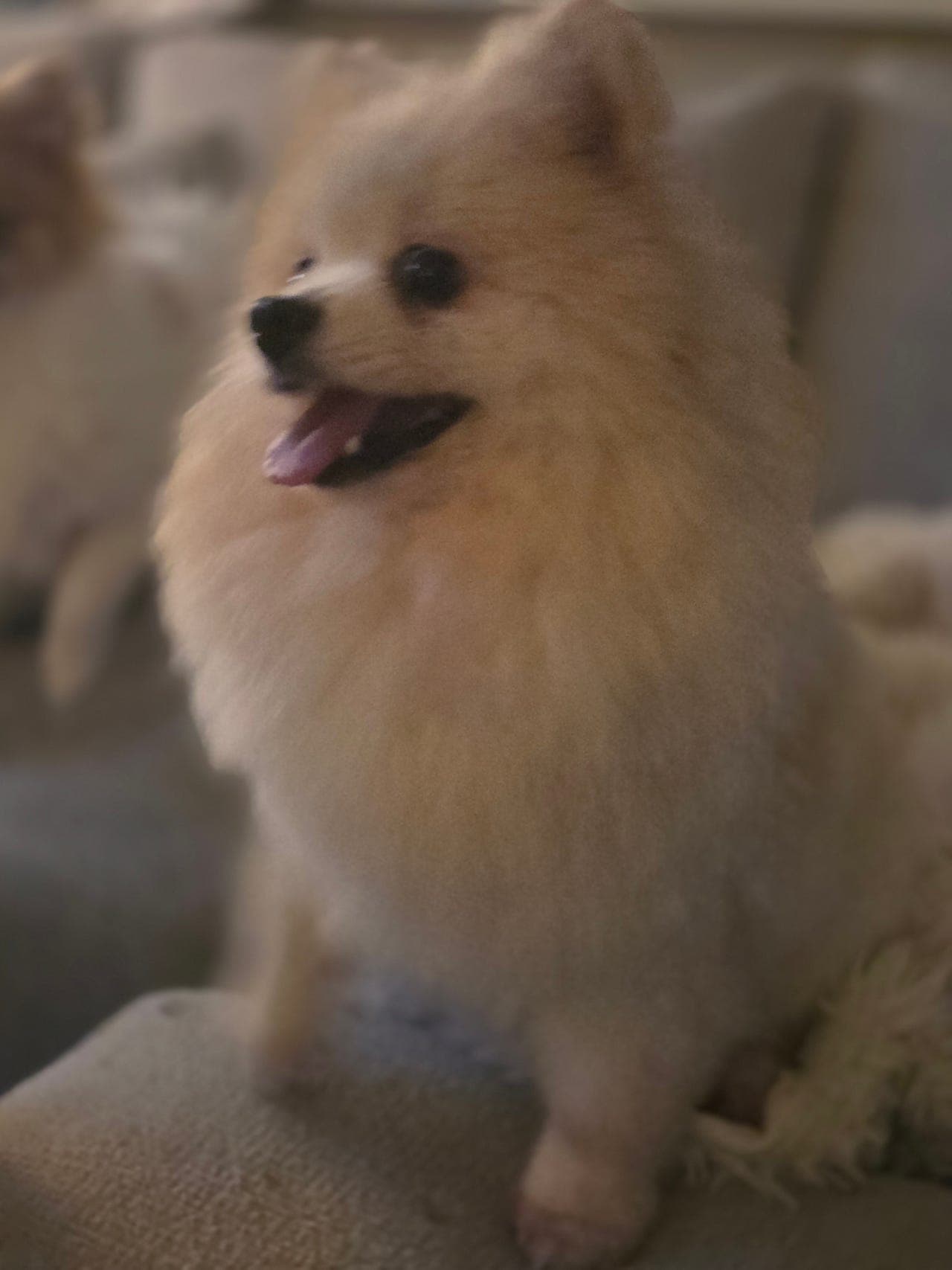 Herlige Diana søker forvert ❤️