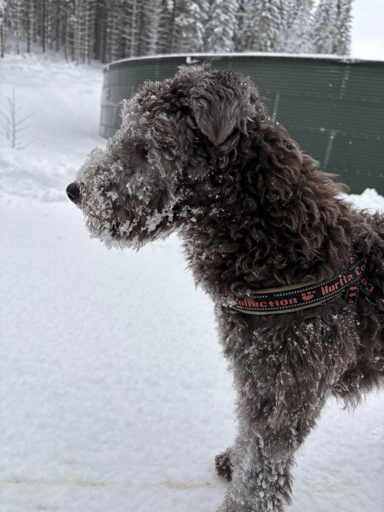 Rolig pumigutt på 10 måneder