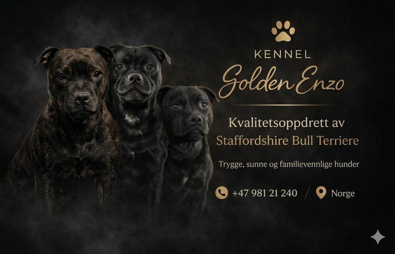 Staffordshire bull terrier valper ventes i april