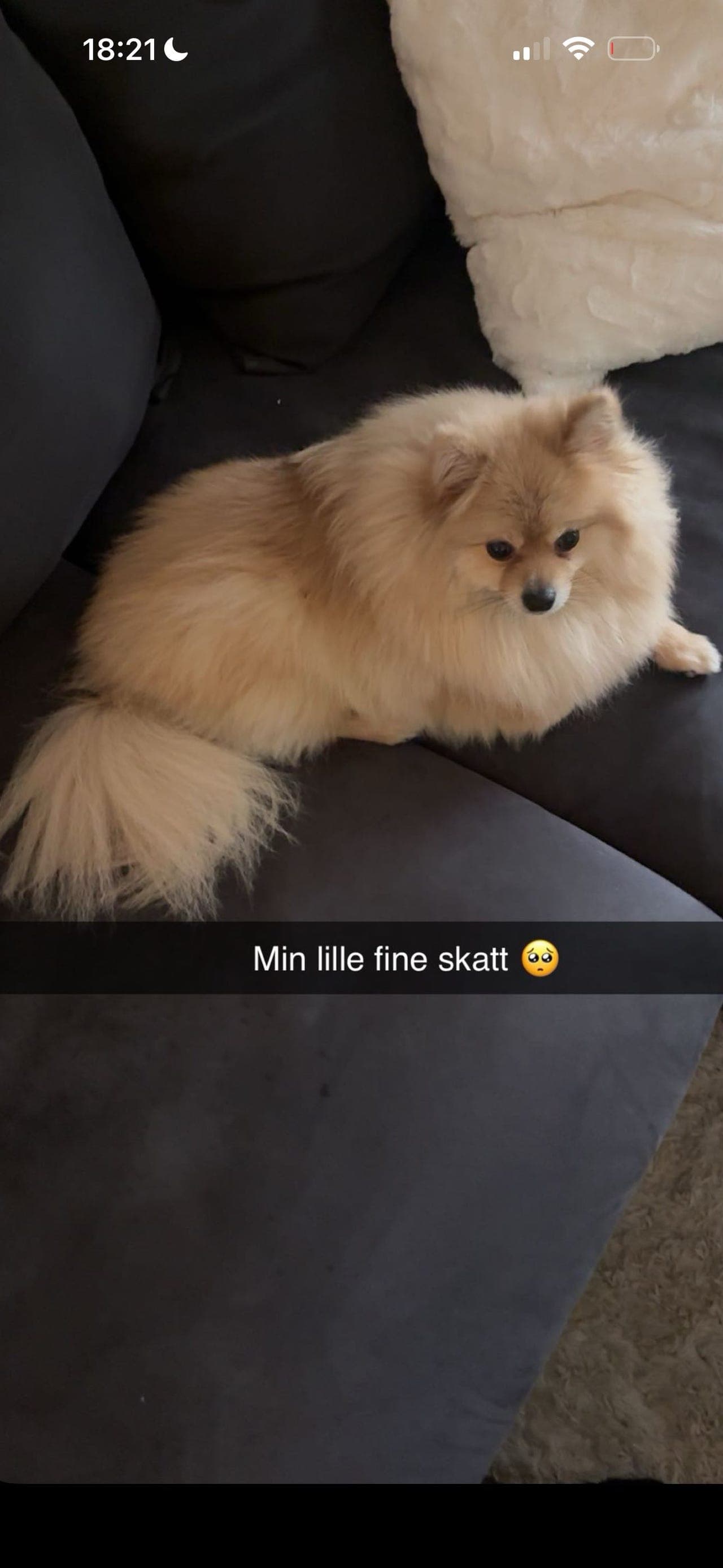 Må med tungt hjerte gi min fineste skatt nytt hjem❤️