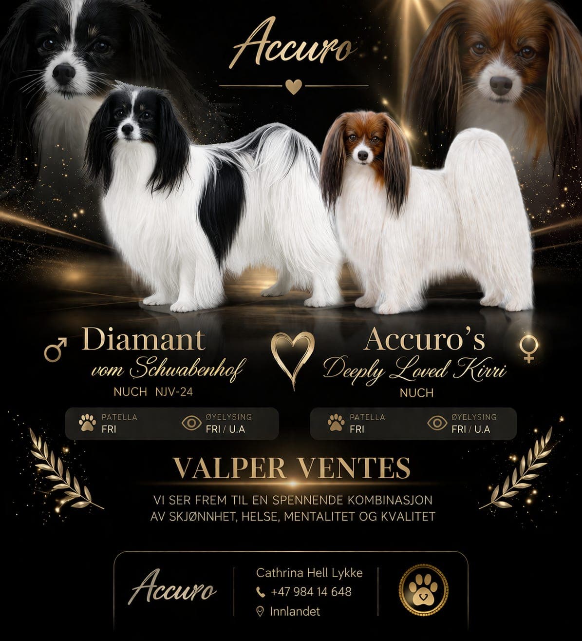 Phalene valper ventes