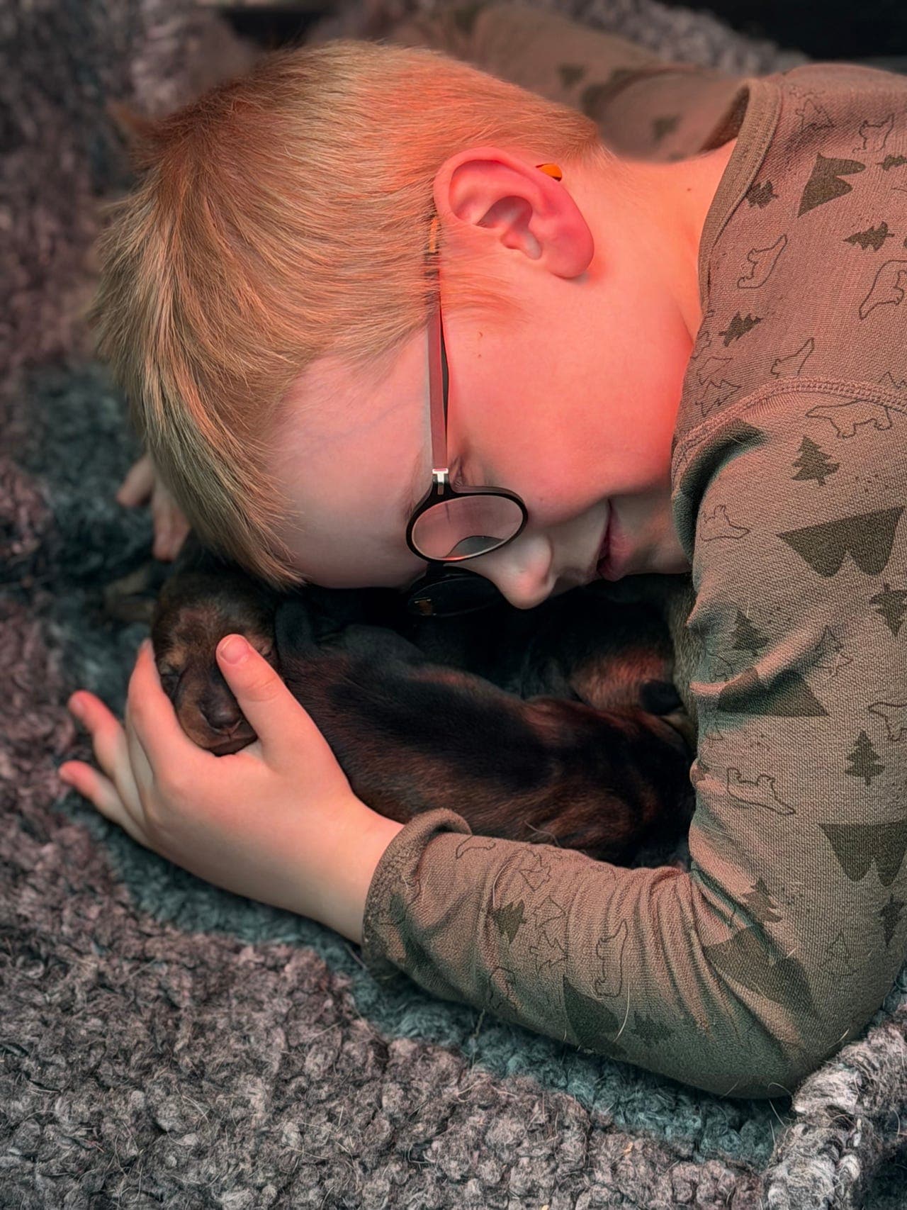 Strihåret dachs valper selges🐕