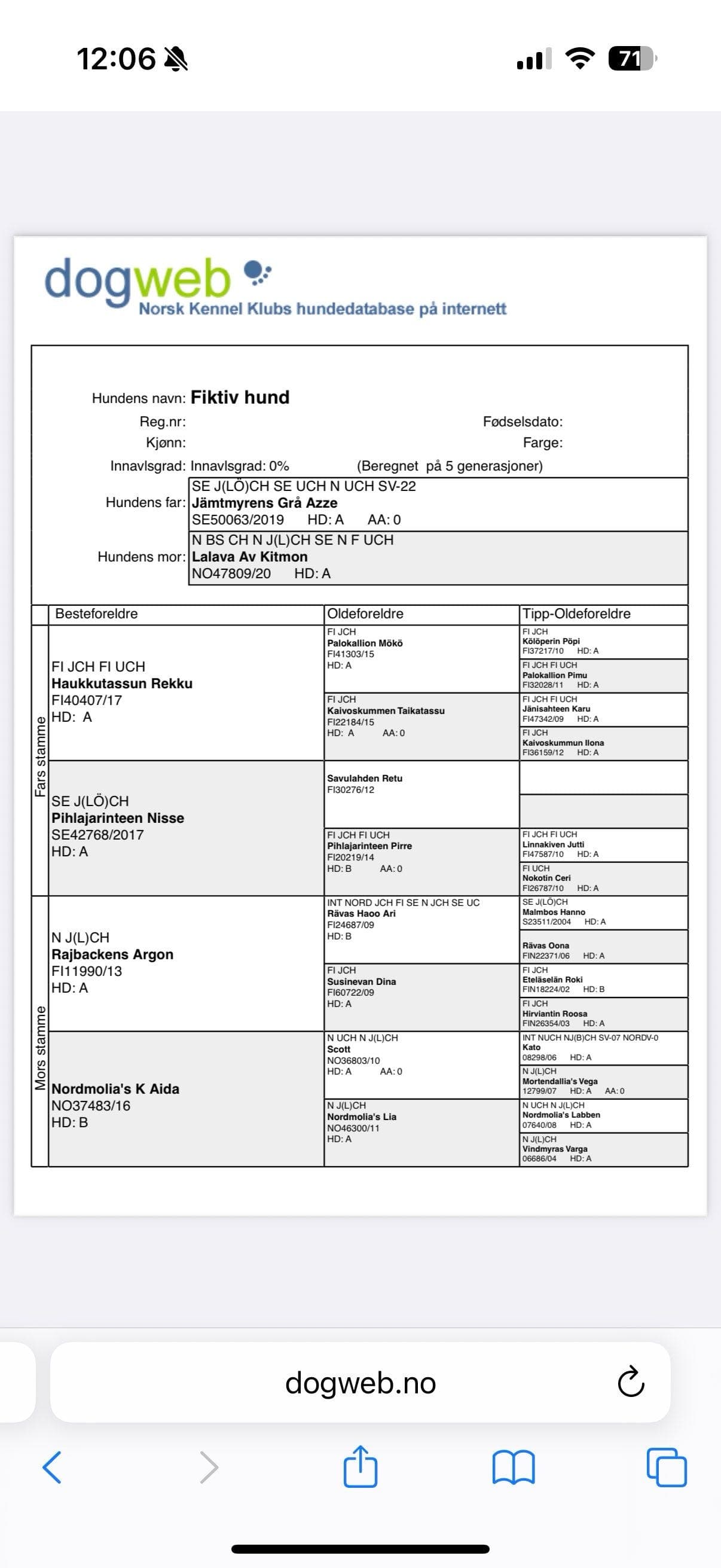 Norsk elghund grå valper.