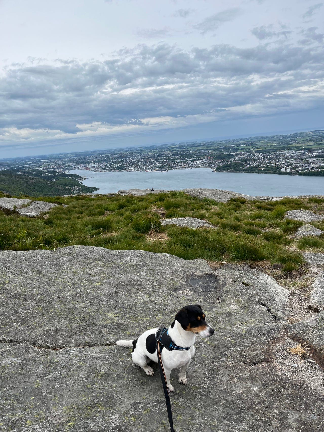 Søker avlastningshjem / deltidshjem