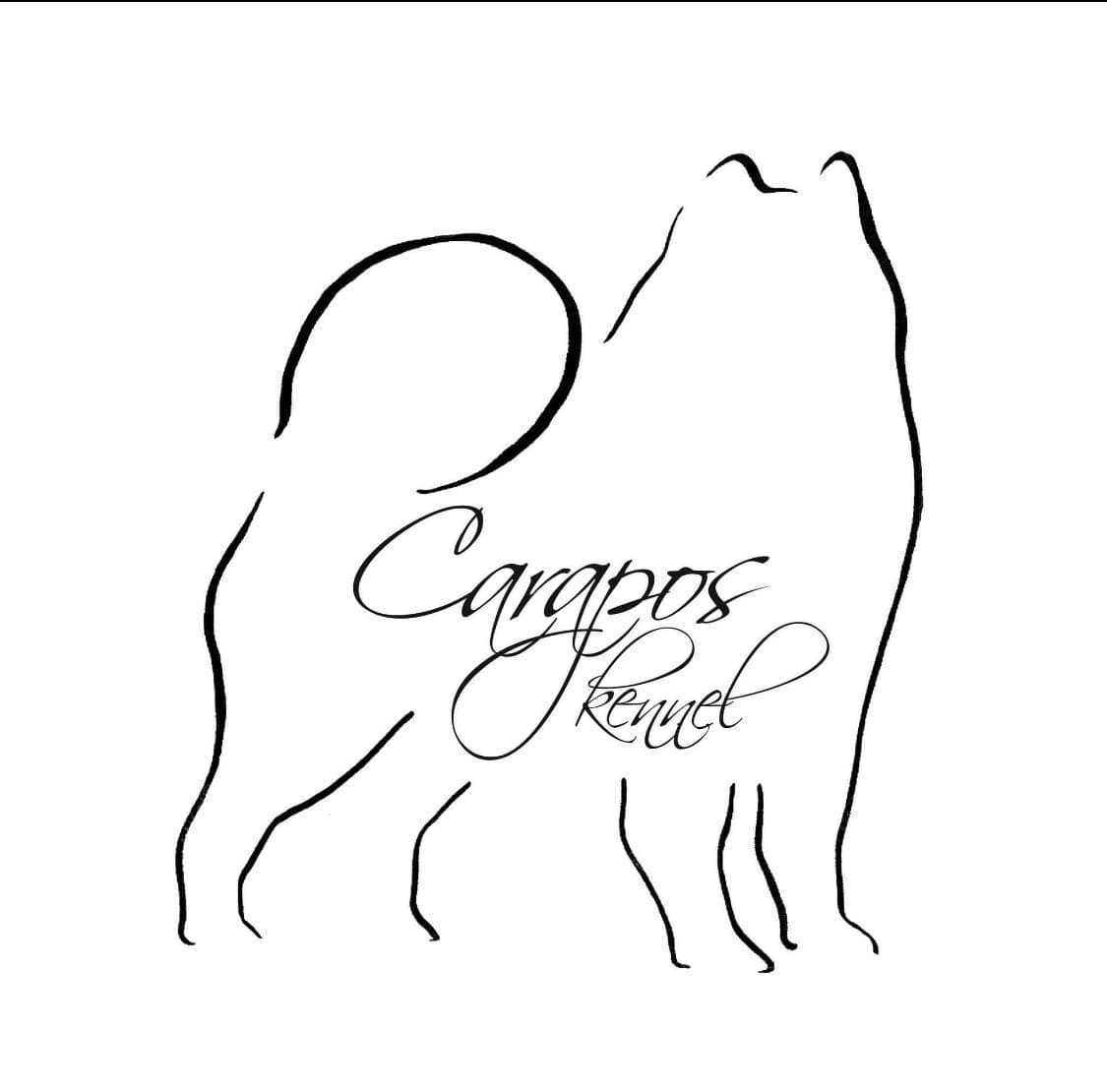 Eurasier