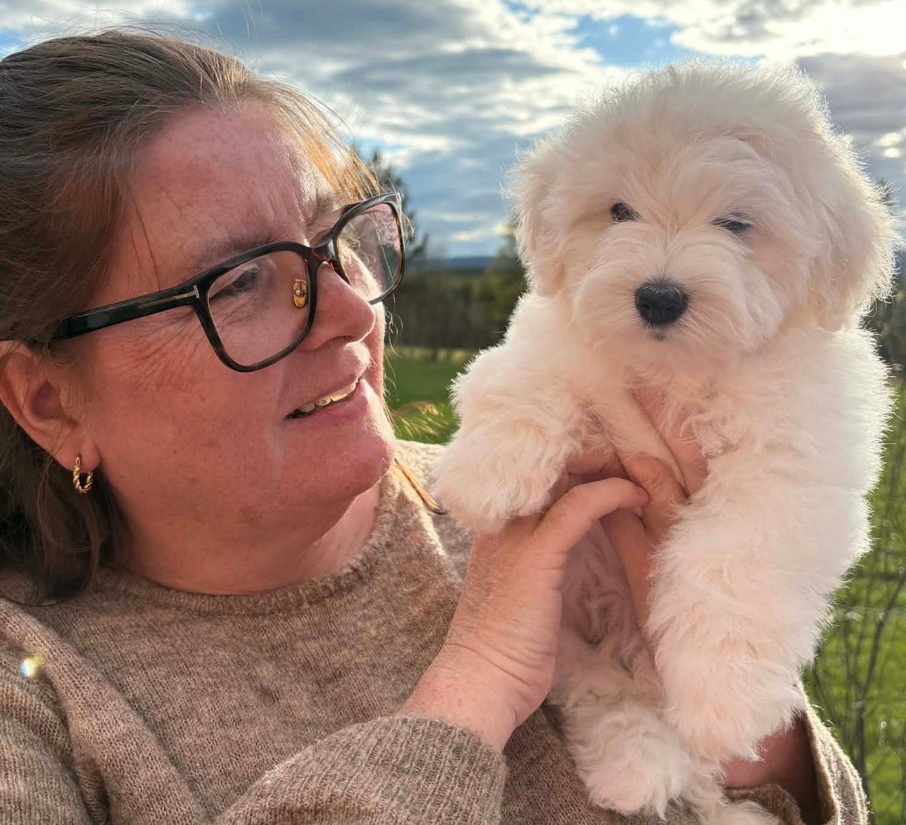 Coton de tulear gutt - klar for levering. ( allergivennlig)