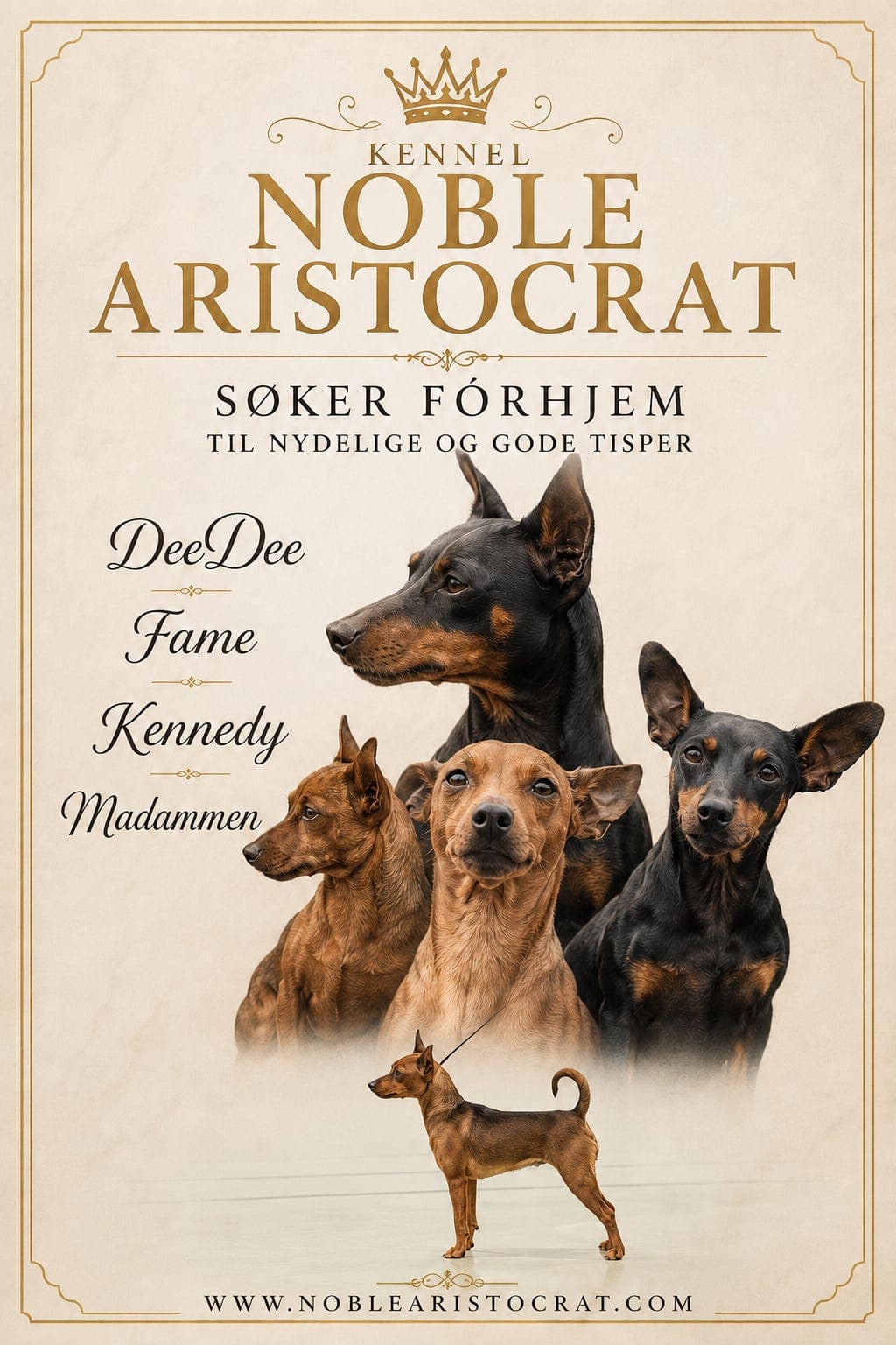 ⭐💫💛🧡 Søker rett hjem