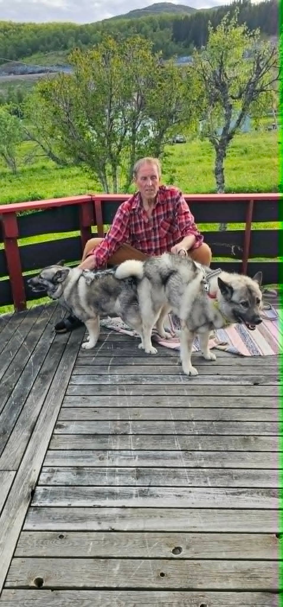 TIL SALGS: Flotte elghundvalper med sterke jaktlinjer og god helse!