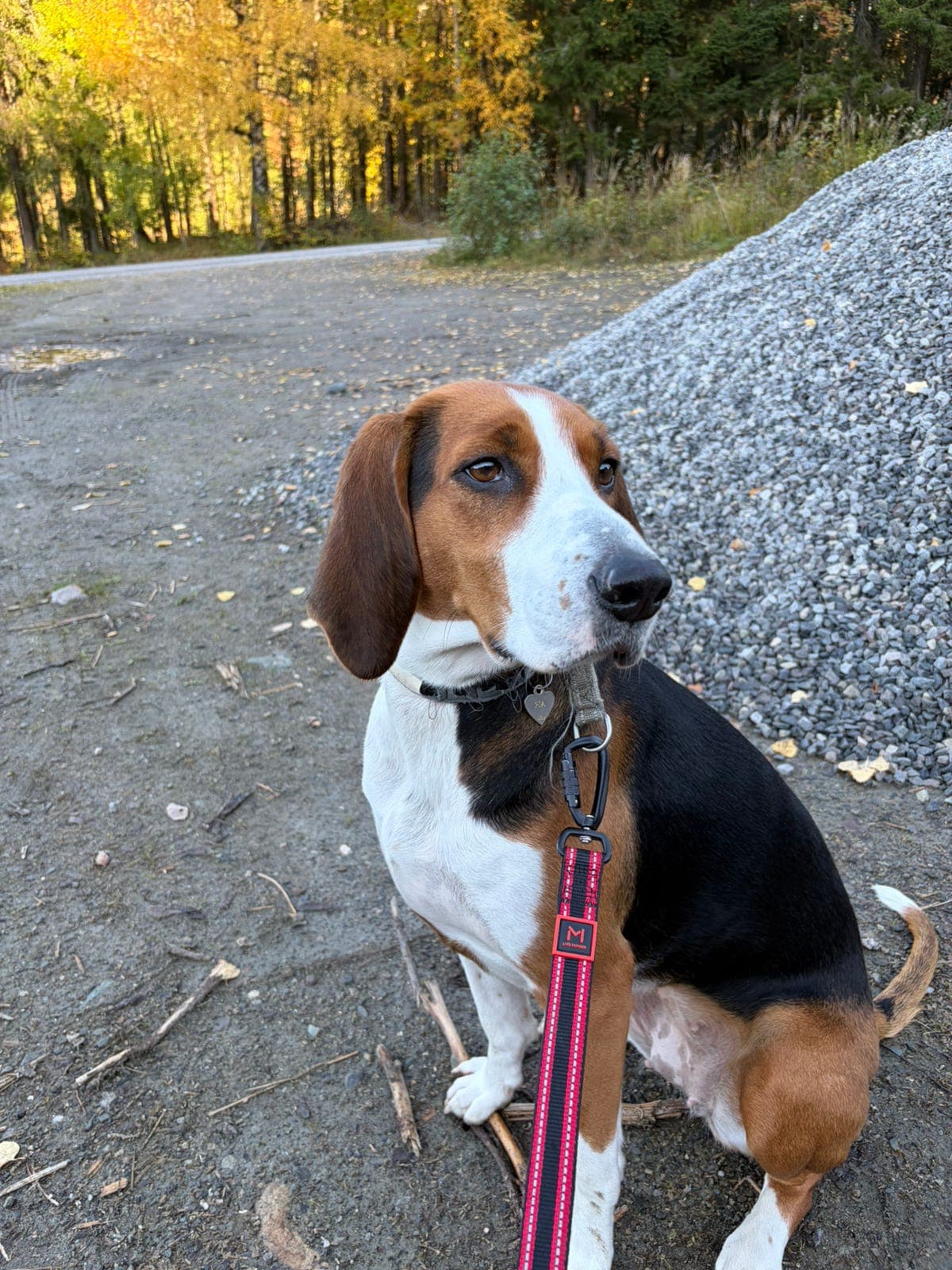 Pia 5 år. Finsk støver.