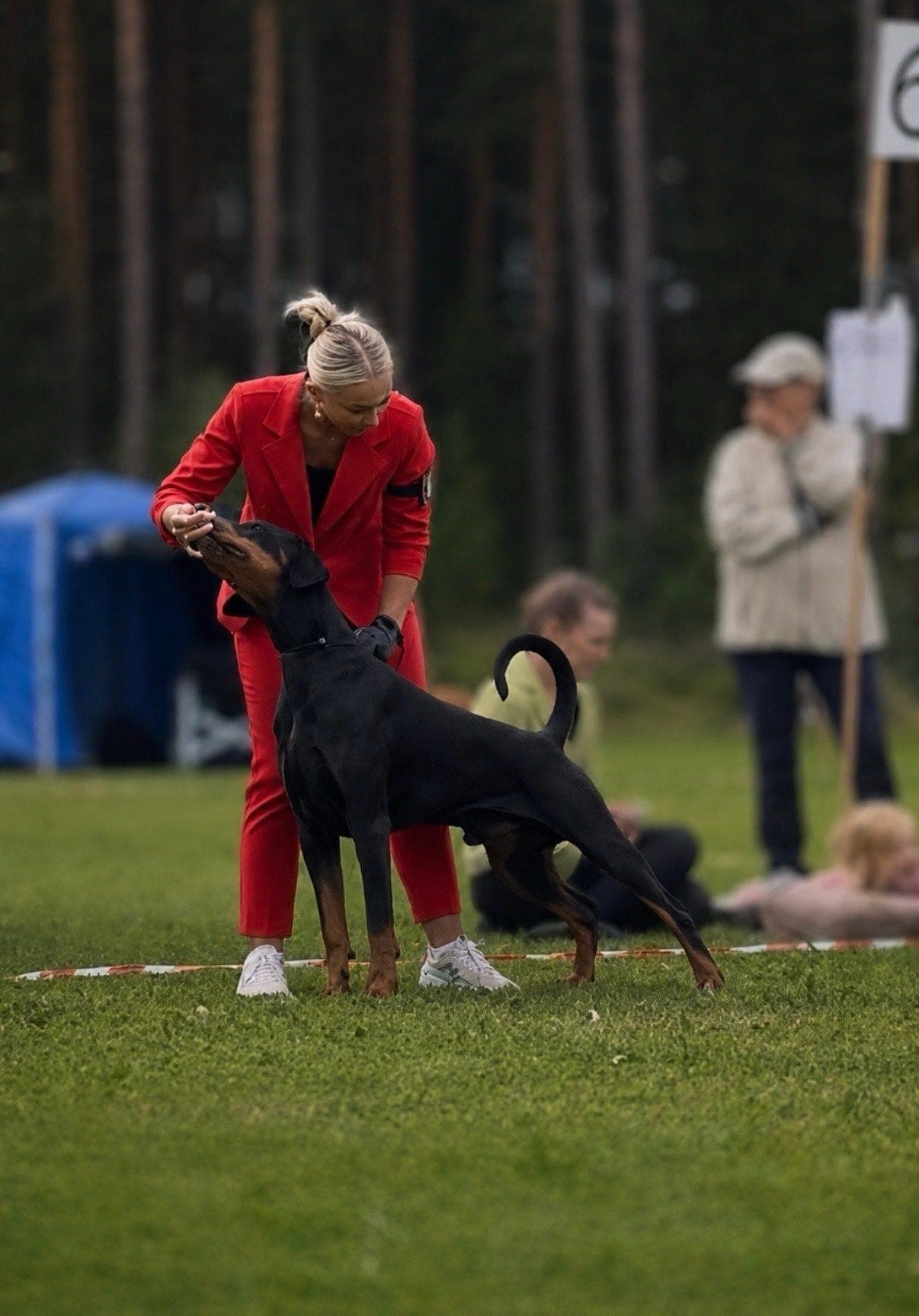 Dobermann valper!