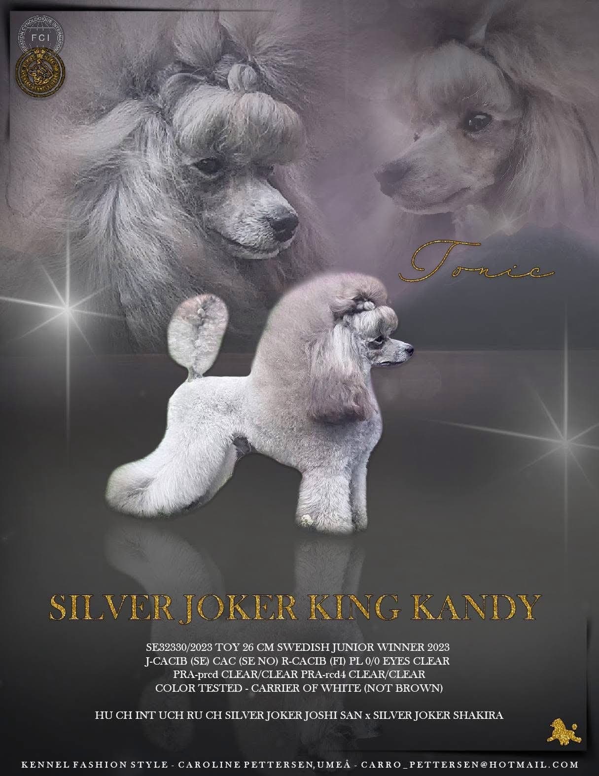 Toypuddel valper ventes