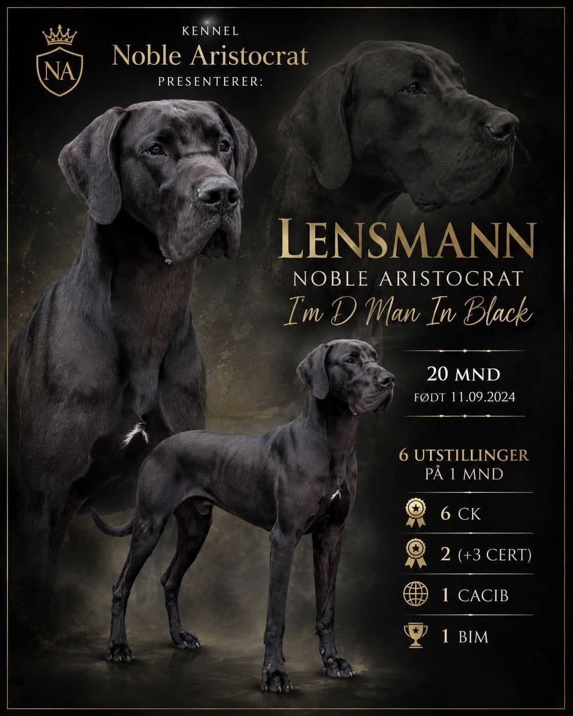 Lensmann - FÓRHJEM